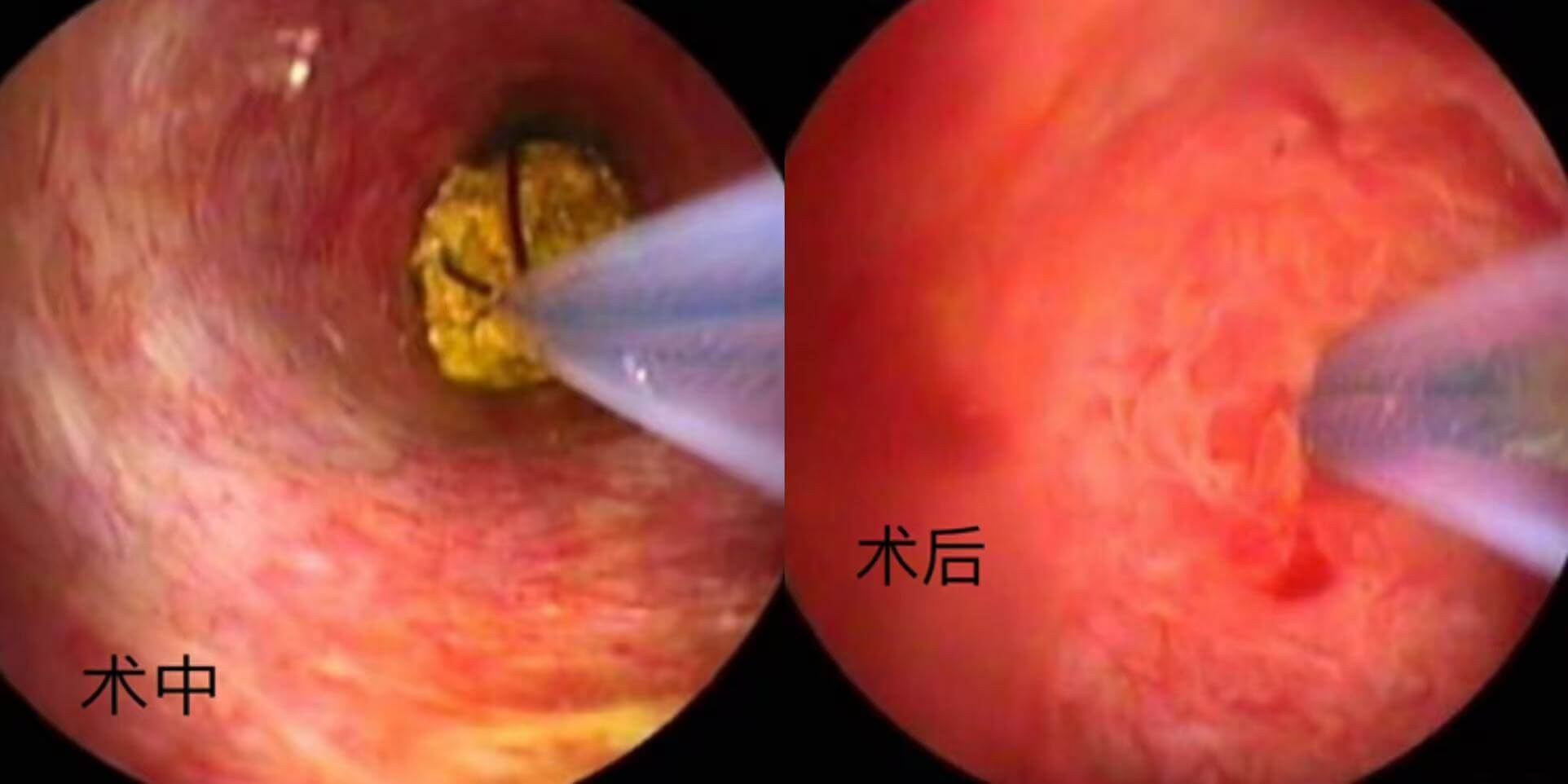 241c88467b78ef868a0a1d4d7cc6a672 241c88467b78ef868a0a1d4d7cc6a672