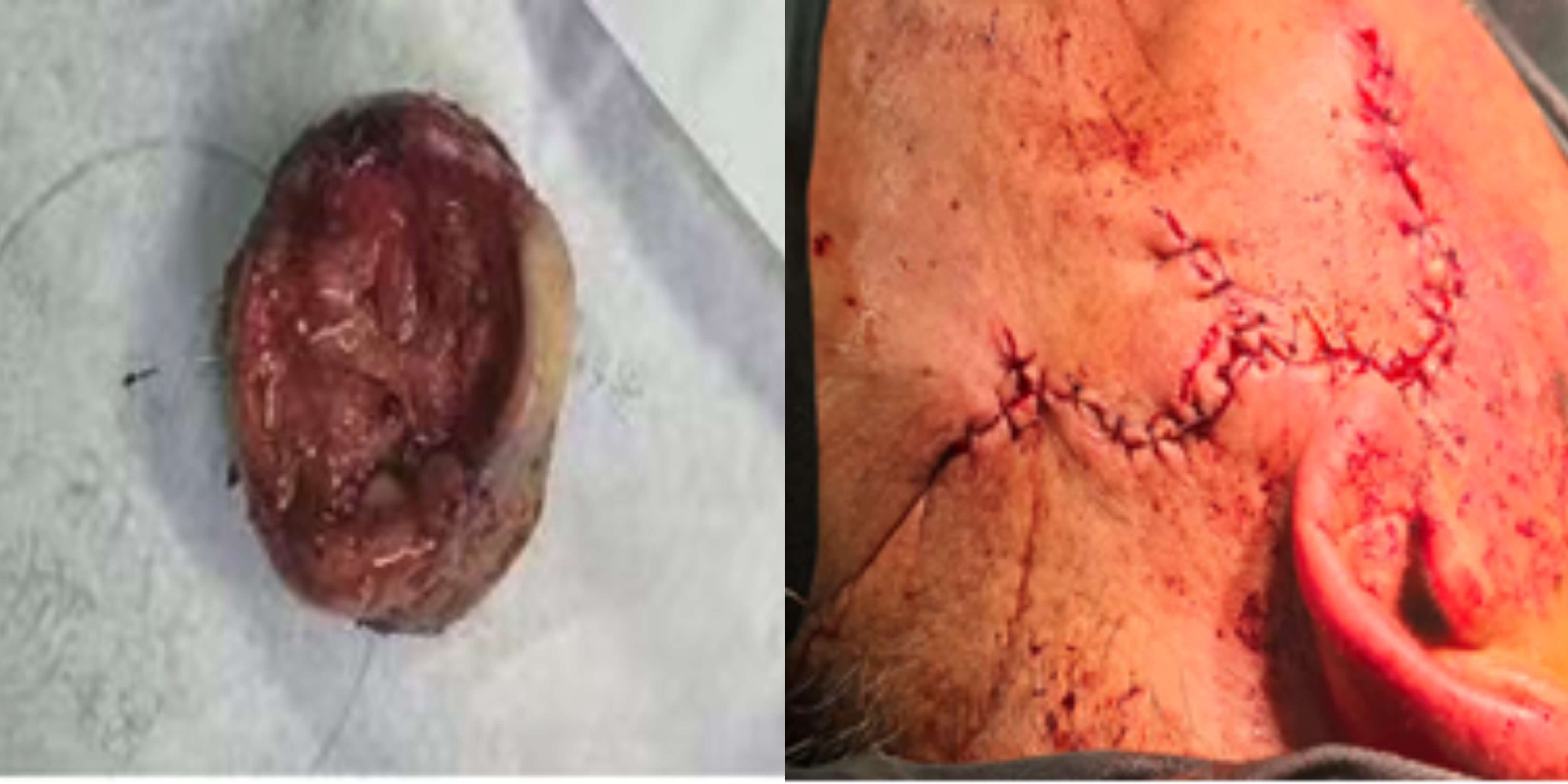 a8e6868f7e147923a3b098d8754551cb