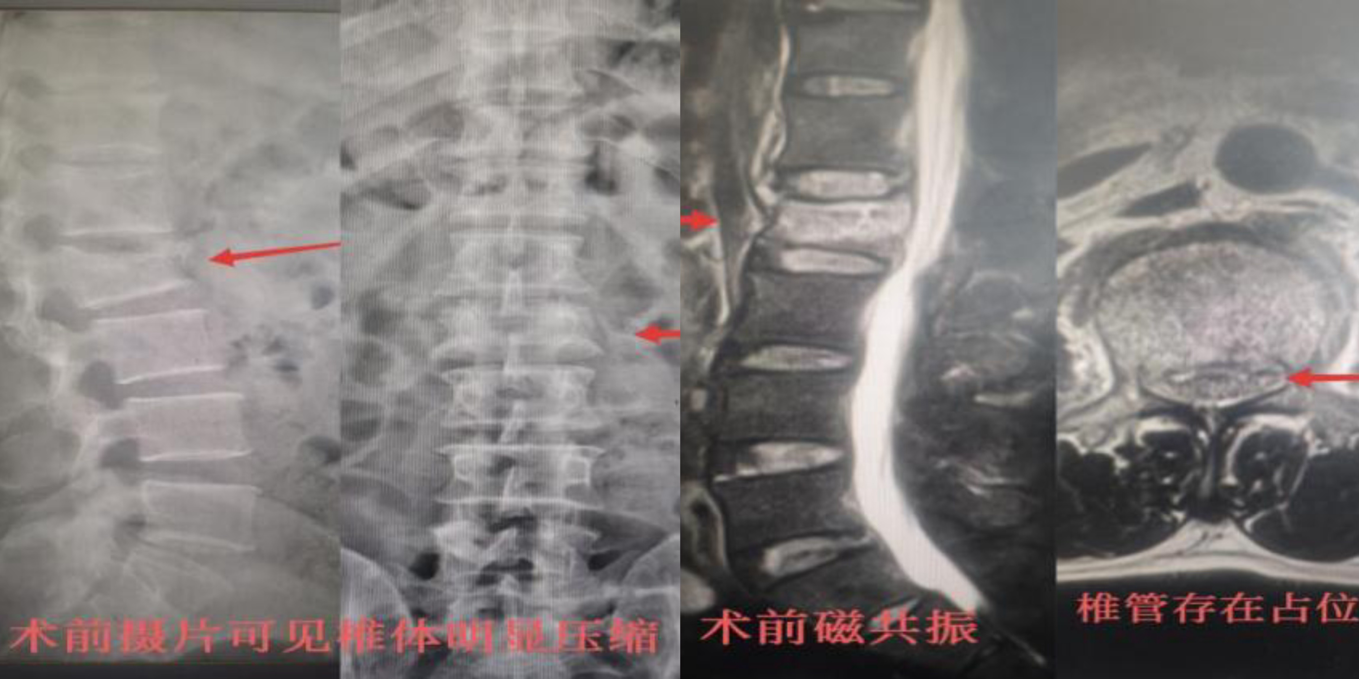 ac5f566ed4d8f9fec431e5ddd3963244