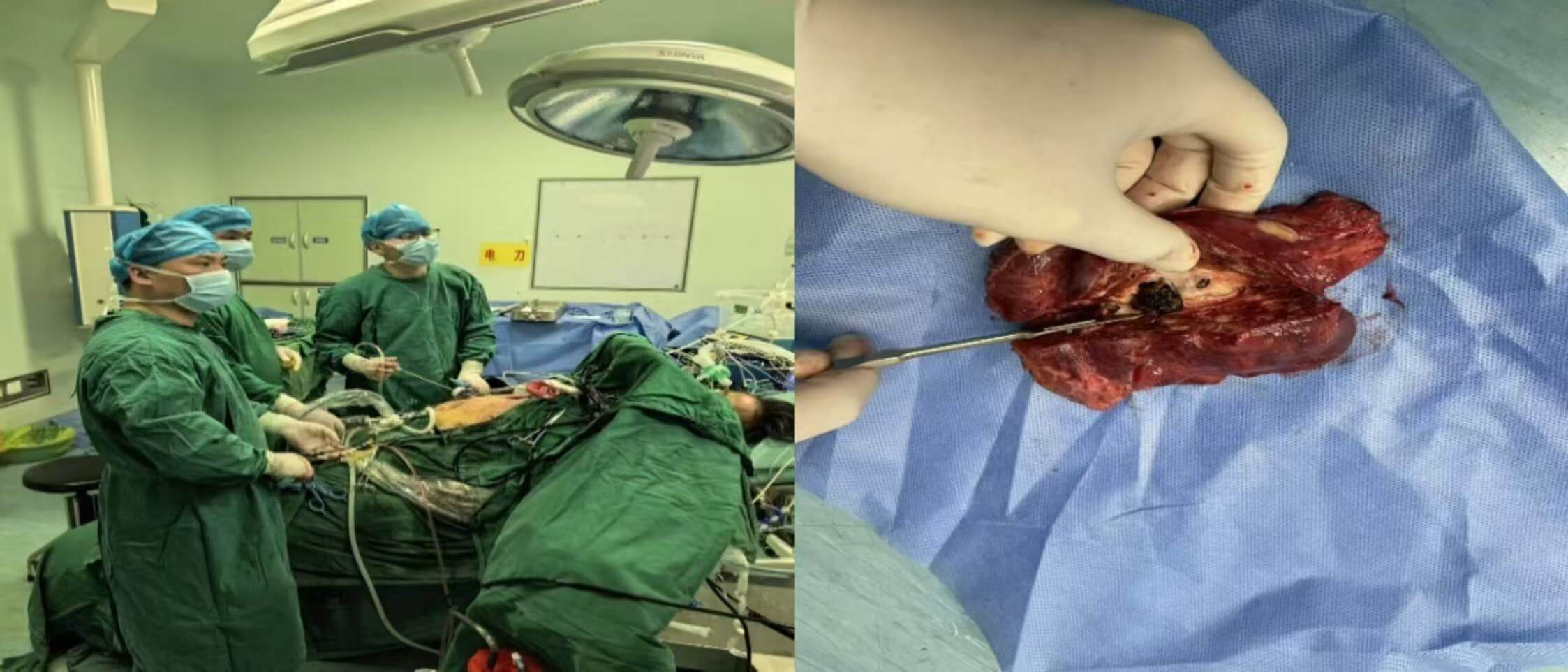 288f77ea8d42f7f0b17dacec6efcc0b7 288f77ea8d42f7f0b17dacec6efcc0b7